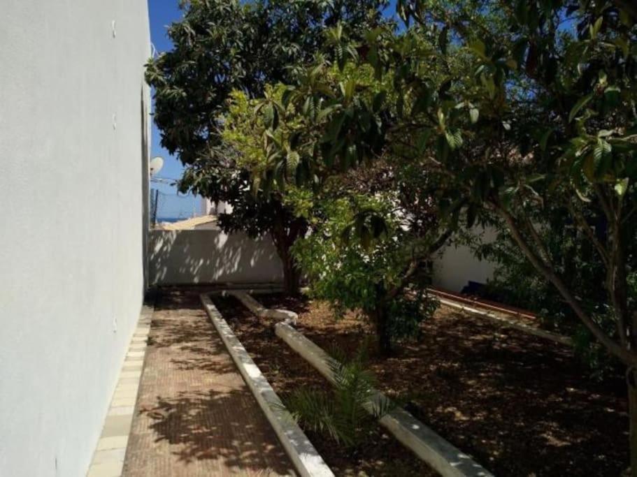 Villa Senhorial - Palace XIX & Privacy & Beach & Albufeira Old Town Ngoại thất bức ảnh